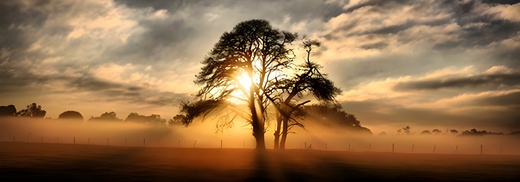 AI: sunset.jpg (upscale)